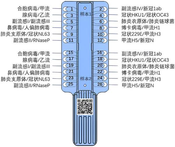 image5.png