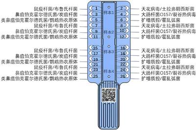image5.png