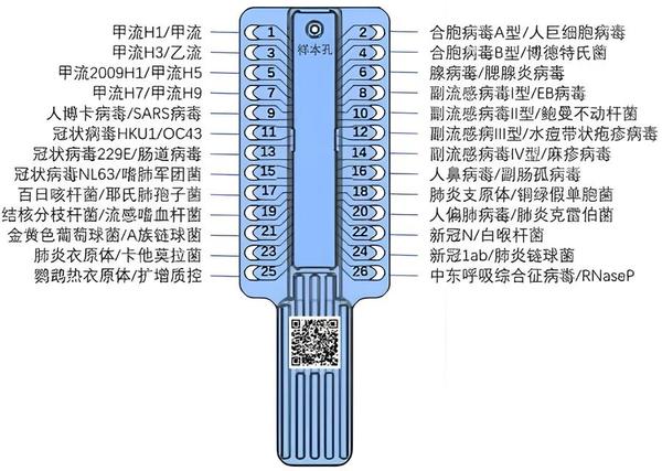 image6.png