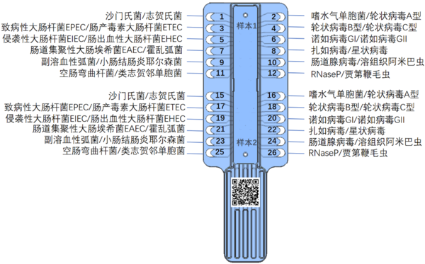 image5.png