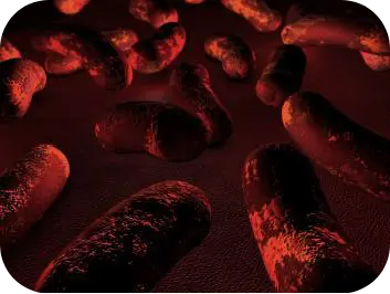 生物安全检测芯片