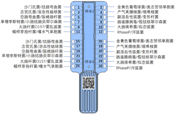 image6.png